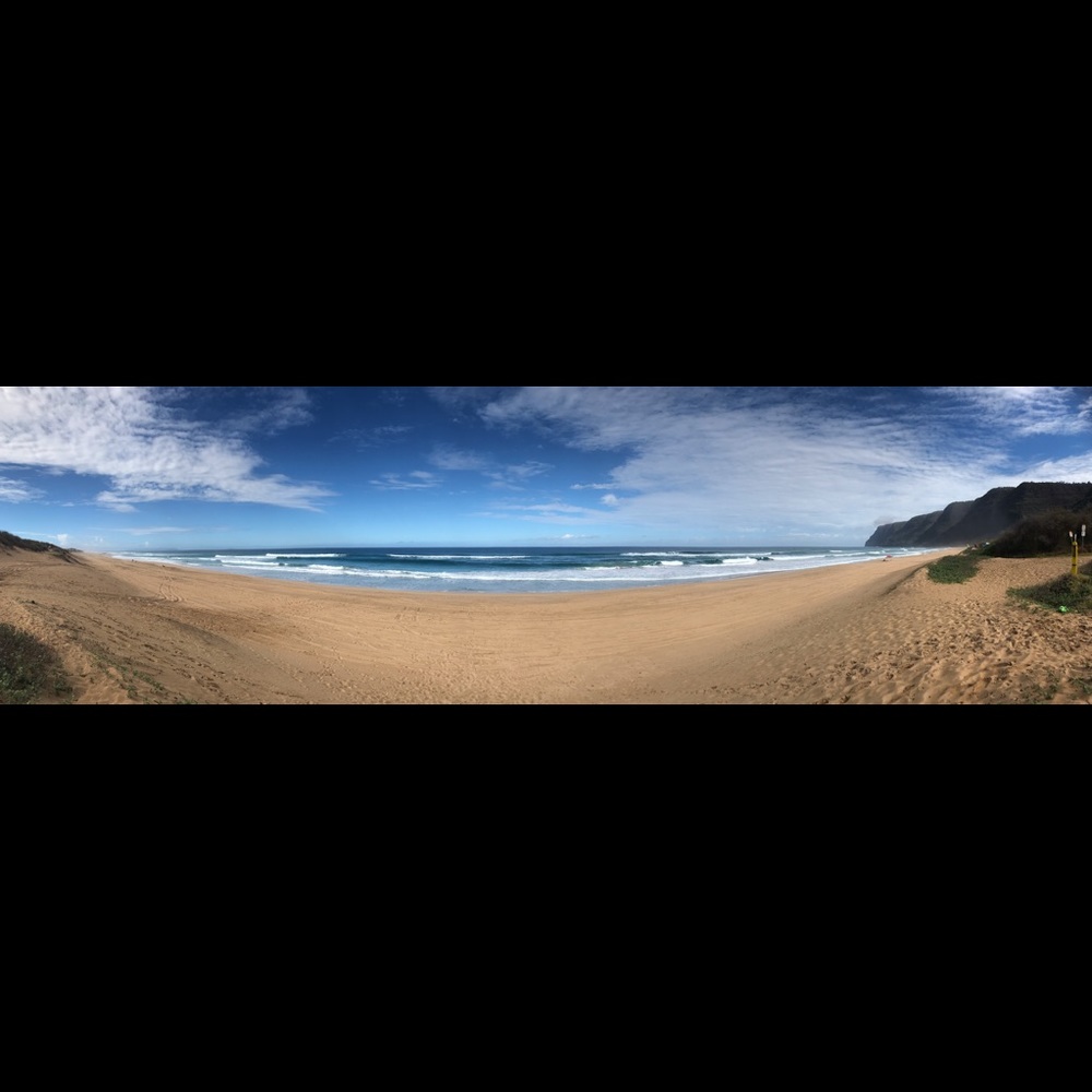 Meet your Posher, Shay